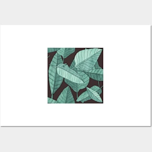 Tropical Foliage Posters and Art